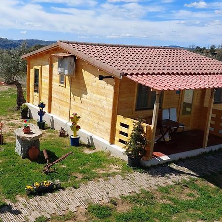 El Refugio De Las Arribes Villarino de los Aires Esterno foto